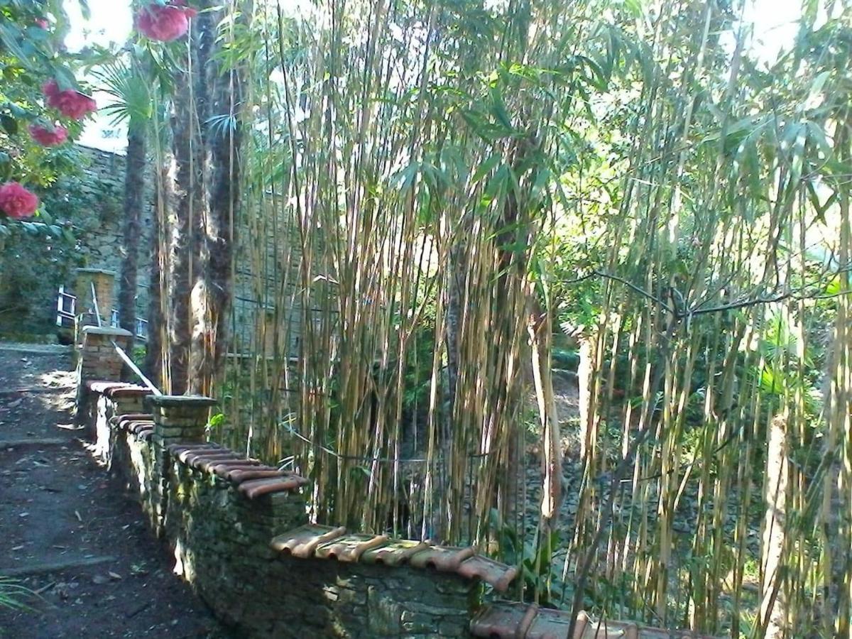 La Camelia D'Oro Apartamento Oggebio Exterior foto