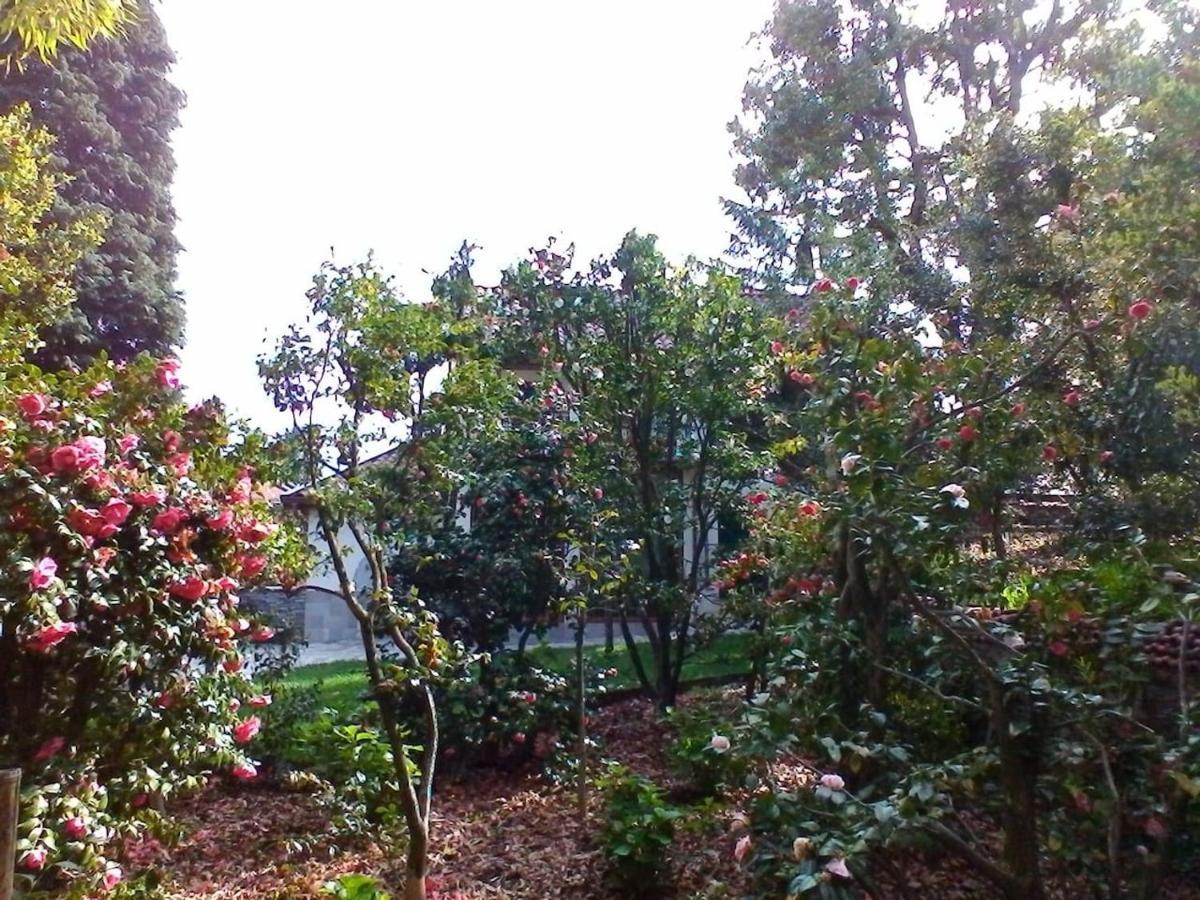 La Camelia D'Oro Apartamento Oggebio Exterior foto
