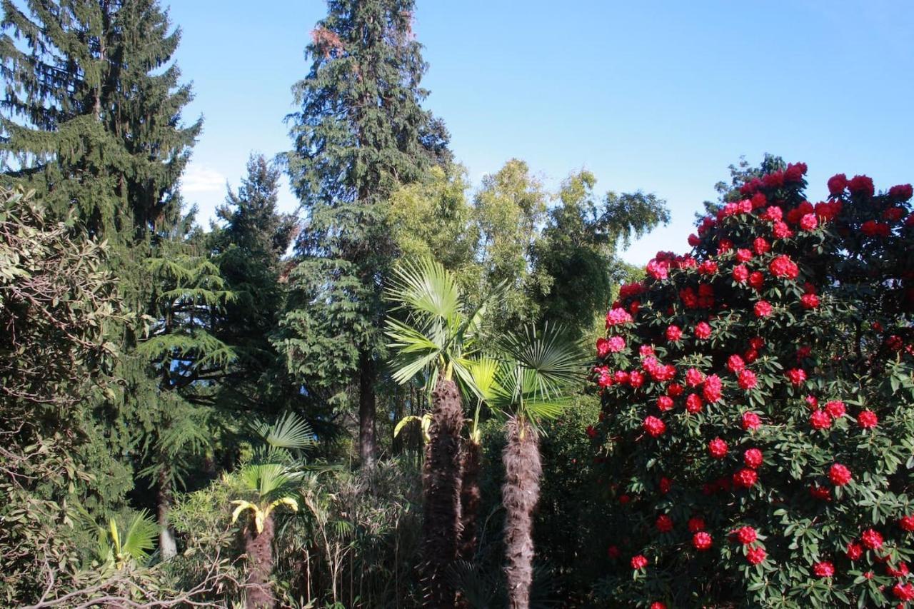 La Camelia D'Oro Apartamento Oggebio Exterior foto